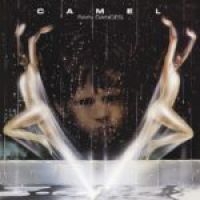 Camel - Rain Dances (Vinyl) in the group VINYL / Pop-Rock at Bengans Skivbutik AB (3700838)