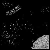 Milk Carton Kids - Only Ones in the group VINYL / Pop-Rock at Bengans Skivbutik AB (3721321)