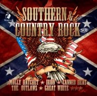 Southern & Country Rock - Various in the group CD / Rock at Bengans Skivbutik AB (3727049)