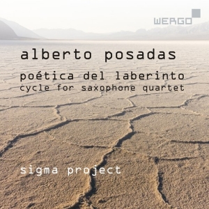 Posadas Alberto - Poetica Del Laberinto - Cycle For S in the group OUR PICKS / Christmas gift tip CD at Bengans Skivbutik AB (3743362)