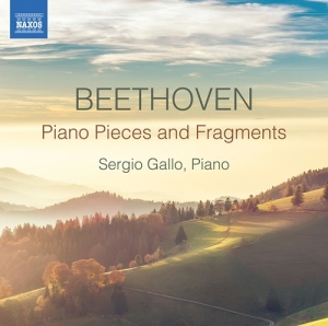 Various - Piano Pieces & Fragments in the group OUR PICKS / Christmas gift tip CD at Bengans Skivbutik AB (3743500)