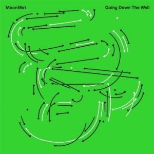 Moonmot - Going Down The Well in the group CD / Jazz/Blues at Bengans Skivbutik AB (3746601)