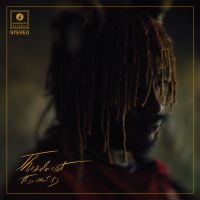 Thundercat - It Is What It Is (Deluxe Clear Viny in the group OUR PICKS / Album Of The Year 2020 / Uncut 2020 at Bengans Skivbutik AB (3746606)