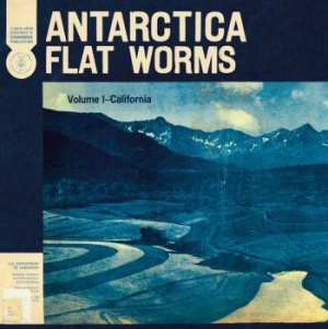 Flat Worms - Antarctica in the group OTHER / MK Test 9 at Bengans Skivbutik AB (3747649)