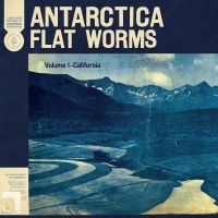 Flat Worms - Antarctica in the group Pop-Rock at Bengans Skivbutik AB (3747681)