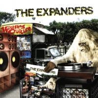 Expanders - Hustling Culture in the group VINYL / Reggae at Bengans Skivbutik AB (3762068)