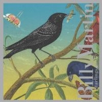 Martin Billy - Starlings in the group CD / Jazz,Pop-Rock at Bengans Skivbutik AB (3764616)