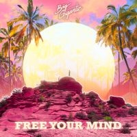 Big Gigantic - Free Your Mind in the group VINYL / Dance-Techno at Bengans Skivbutik AB (3766602)