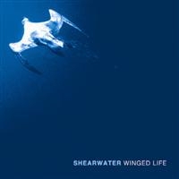 Shearwater - Winged Life in the group VINYL / Rock at Bengans Skivbutik AB (3782480)