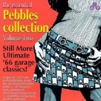 Various Artists - Essential Pebbles Vol. 2 in the group CD / Pop-Rock at Bengans Skivbutik AB (3782640)