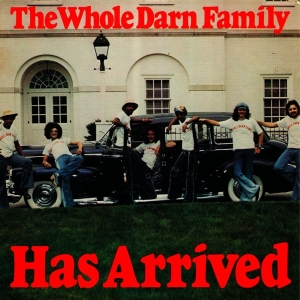 Whole Darn Family - Has Arrived in the group VINYL / Pop-Rock,RnB-Soul at Bengans Skivbutik AB (3782955)