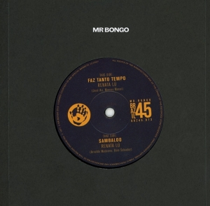 Renata Lu - Faz Tanto Tempo / Sambaloo in the group VINYL / Elektroniskt,World Music at Bengans Skivbutik AB (3837059)