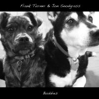 Turner Frank /And Jon Snodgrass - Buddies in the group CD / Pop-Rock at Bengans Skivbutik AB (3842609)