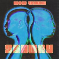 Seaway - Big Vibe in the group VINYL / Pop-Rock at Bengans Skivbutik AB (3844405)