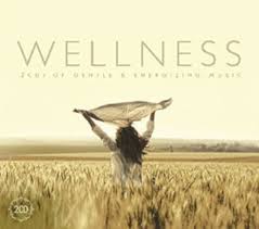 Wellness - Wellness in the group CD / Pop-Rock at Bengans Skivbutik AB (3852515)