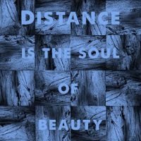 Sheehy Michael J - Distance Is The Soul Of Beauty in the group VINYL / Pop-Rock at Bengans Skivbutik AB (3866026)