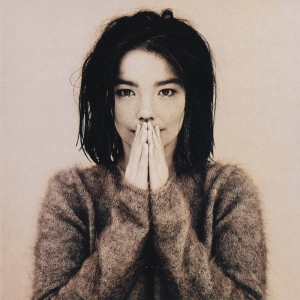 Bjork - Debut in the group OUR PICKS / Most popular vinyl classics at Bengans Skivbutik AB (3869382)