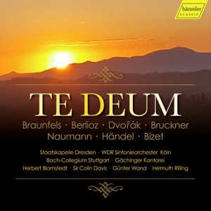 Various - Te Deum (4Cd) in the group Externt_Lager /  at Bengans Skivbutik AB (3910168)