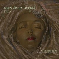 Overli Jorn Simen (Trio) - Vidunderlig in the group CD / Pop-Rock at Bengans Skivbutik AB (3913720)