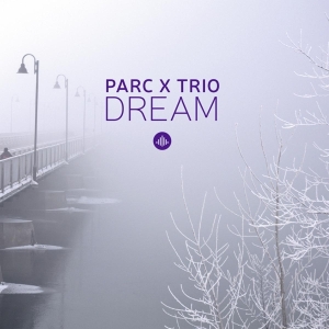 Parc X Trio - Dream in the group CD / Jazz at Bengans Skivbutik AB (3921418)