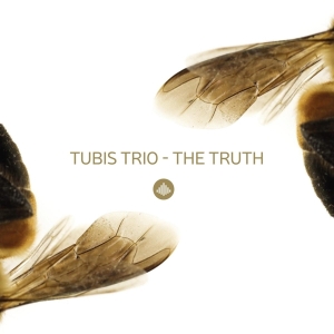 Tubis Trio - Truth in the group CD / Jazz at Bengans Skivbutik AB (3922574)