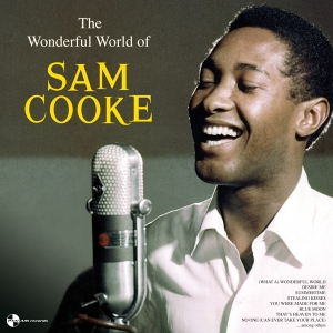 Sam Cooke - Wonderful World Of Sam Cooke in the group VINYL / RnB-Soul at Bengans Skivbutik AB (3923531)