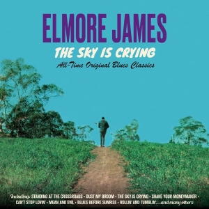 Elmore James - Sky Is Crying in the group CD / Blues,Jazz at Bengans Skivbutik AB (3925080)