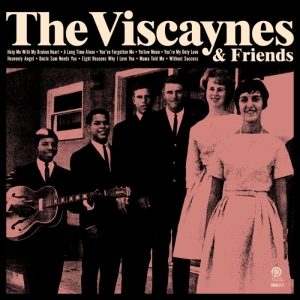 Viscaynes - Viscaynes & Friends in the group OUR PICKS /  Christmas gift tip Vinyl at Bengans Skivbutik AB (3925625)