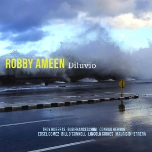 Robby Ameen - Diluvio in the group CD / Jazz at Bengans Skivbutik AB (3928524)