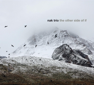 Nak Trio - Other Side Of If in the group CD / Jazz at Bengans Skivbutik AB (3928949)