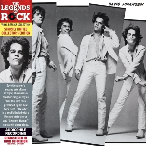 David Johansen - In Style in the group CD / Pop-Rock at Bengans Skivbutik AB (3930084)