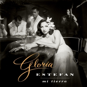 Gloria Estefan - Mi Tierra in the group VINYL / Pop-Rock,Övrigt at Bengans Skivbutik AB (3930803)