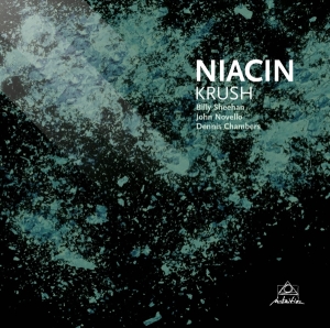 Niacin - Krush in the group CD / Jazz,Pop-Rock at Bengans Skivbutik AB (3931652)