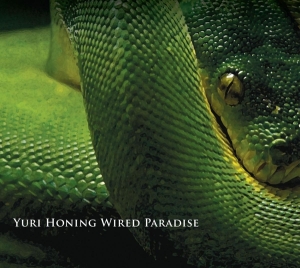 Yuro Wired Paradise Honing - Temptation in the group CD / Jazz at Bengans Skivbutik AB (3935340)