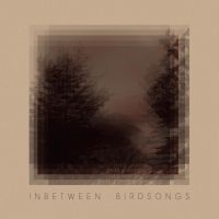 Gusset Matthias - Inbetween Birdsongs in the group VINYL / Elektroniskt,World Music at Bengans Skivbutik AB (3971135)