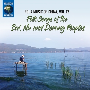 Various - Folk Music Of China, Vol. 12: Folk in the group OUR PICKS / Christmas gift tip CD at Bengans Skivbutik AB (3983138)