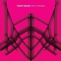 Gross Terry - Soft Opening (Translucent Blue Viny in the group VINYL / Pop-Rock at Bengans Skivbutik AB (3988698)