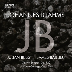 Johannes Brahms - Clarinet Sonatas Op. 120 & 4 Ernste in the group OUR PICKS / Christmas gift tip CD at Bengans Skivbutik AB (3988827)