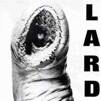 Lard - Power Of Lard in the group VINYL / Pop-Rock at Bengans Skivbutik AB (4007993)