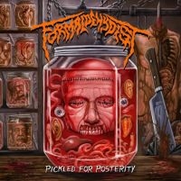 Formaldehydist - Pickled For Prosterity in the group CD / Hårdrock at Bengans Skivbutik AB (4024830)