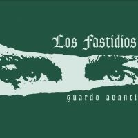 Los Fastidios - Guardo Avanti (Orange) in the group VINYL / Pop-Rock at Bengans Skivbutik AB (4031170)