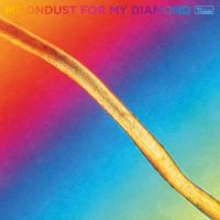 Hayden Thorpe - Moondust For My Diamond in the group OUR PICKS /  Christmas gift tip Vinyl at Bengans Skivbutik AB (4033558)