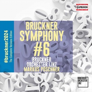 Bruckner Anton - Sinfonie Nr. 6 A-Dur in the group OUR PICKS / Christmas gift tip CD at Bengans Skivbutik AB (4039479)