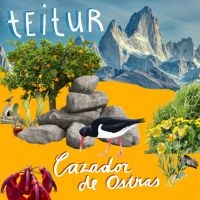 Teitur - Cazador De Ostras in the group CD / Dansk Musik,Pop-Rock at Bengans Skivbutik AB (4044554)