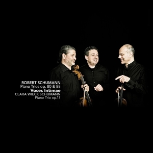 Voces Intimae - Piano Trios Op.80 & 88 in the group CD / Klassiskt,Övrigt at Bengans Skivbutik AB (4047188)