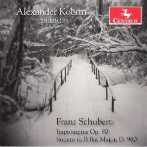 Alexander Kobrin - Franz Schubert in the group CD / Klassiskt,Övrigt at Bengans Skivbutik AB (4048916)