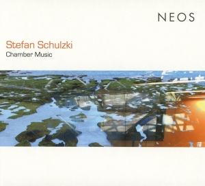 S. Schulzki - Chamber Music in the group CD / Klassiskt,Övrigt at Bengans Skivbutik AB (4050497)