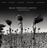 Dark Star Safari - Walk Through Lightly in the group VINYL / Pop-Rock at Bengans Skivbutik AB (4053895)