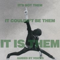 Guided By Voices - It's Not Them It Couldn't Be Them I in the group OUR PICKS /  Christmas gift tip Vinyl at Bengans Skivbutik AB (4054061)