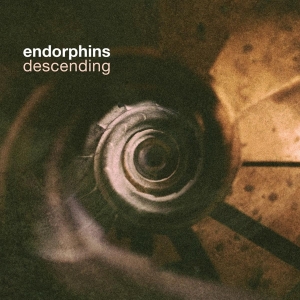 Endorphins - Descending in the group OUR PICKS / Christmas gift tip CD at Bengans Skivbutik AB (4067340)